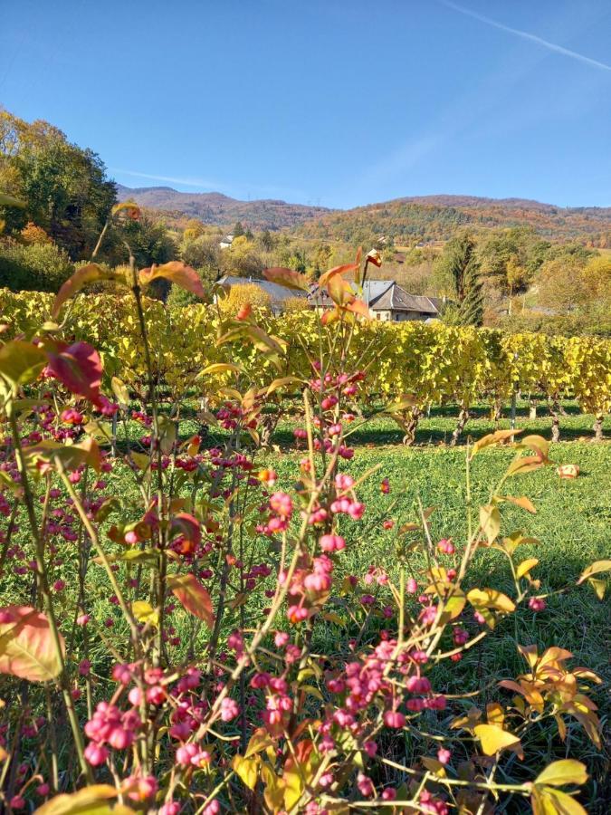 Le Saint Vincent Hotel Apremont  Luaran gambar