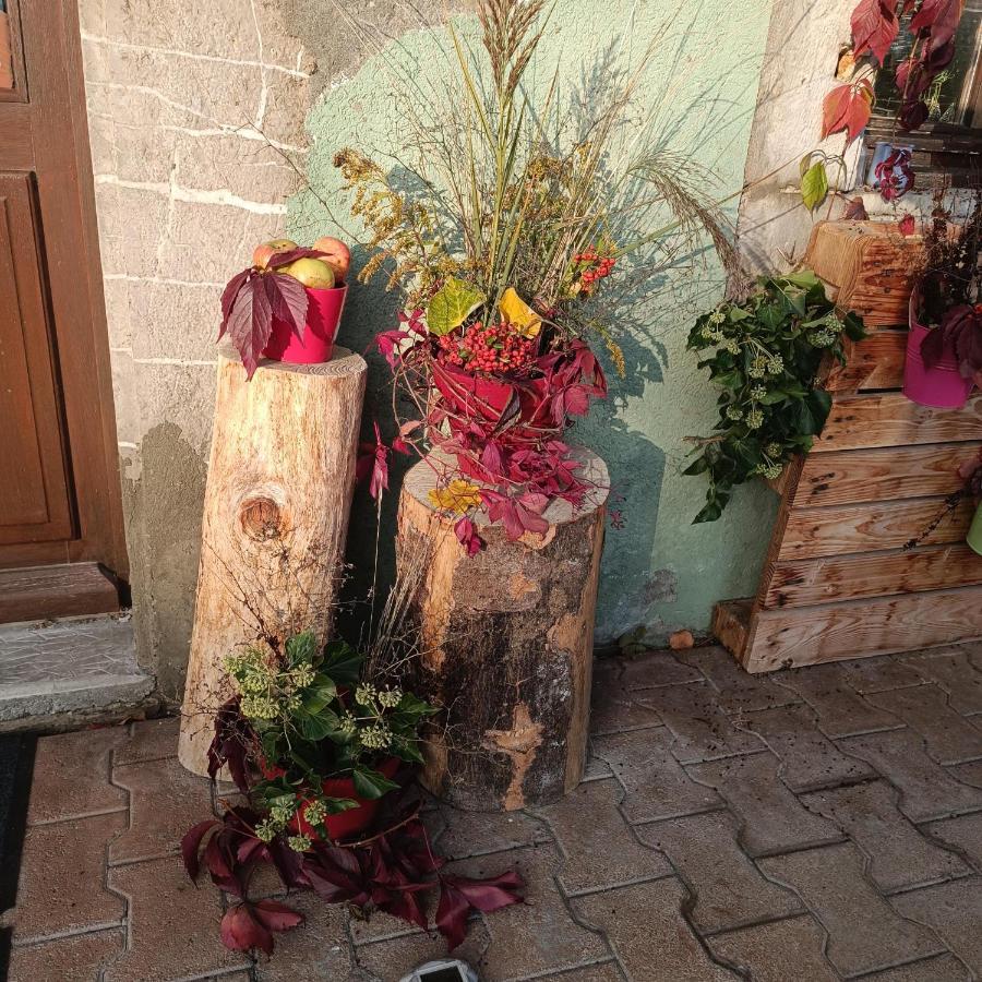 Le Saint Vincent Hotel Apremont  Luaran gambar
